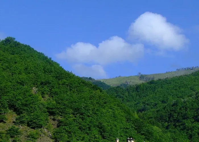 Complex Maison d'hôtes 3*