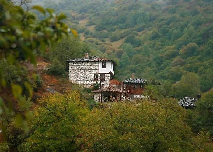 Maison d'hôtes Complex