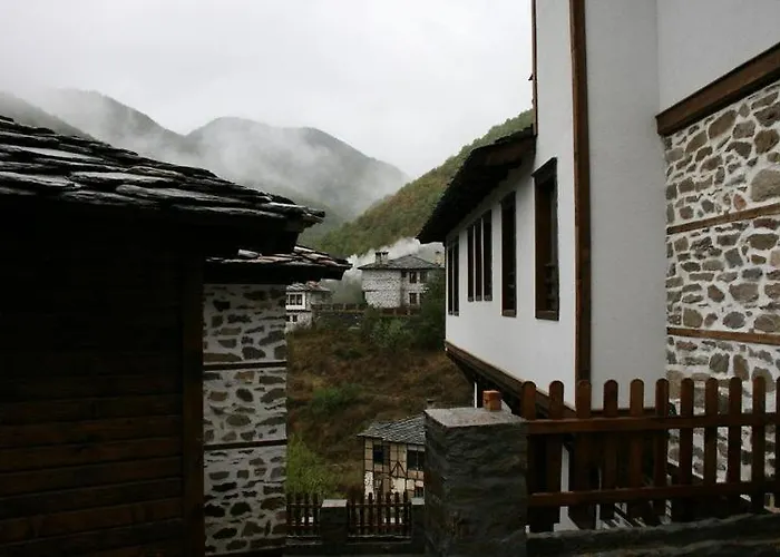 Complex Maison d'hôtes